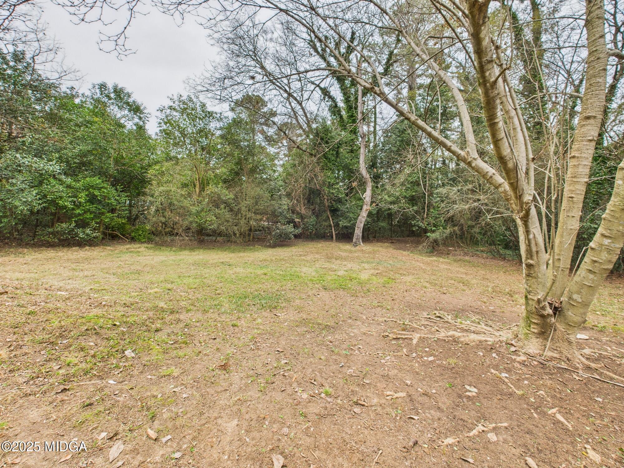 607 Chastain Place Macon, GA 31210 - Photo 54 of 63 a view of a yard with a trees