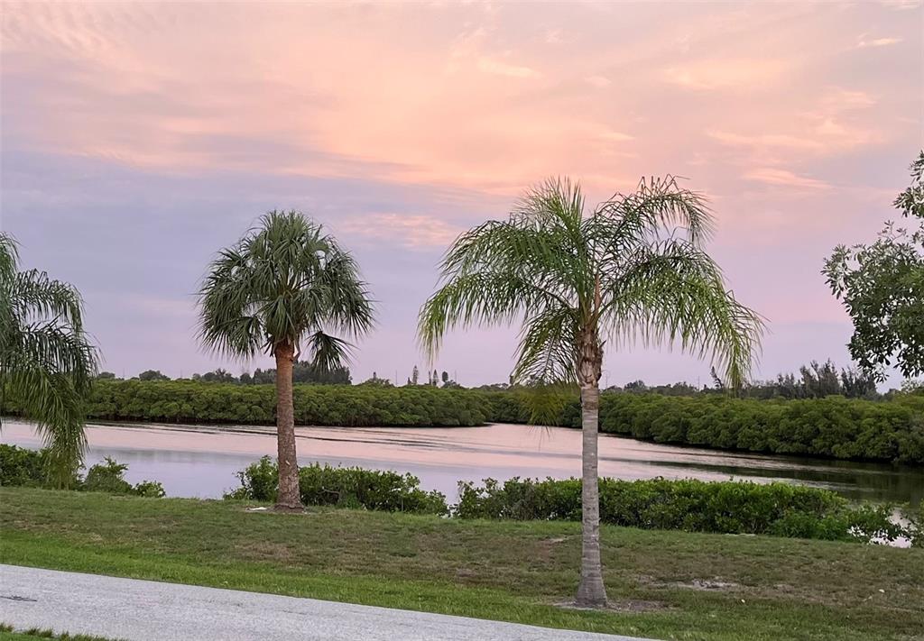 809 Timeless Moss Drive Ruskin, FL 33570 - Photo 72 of 76
