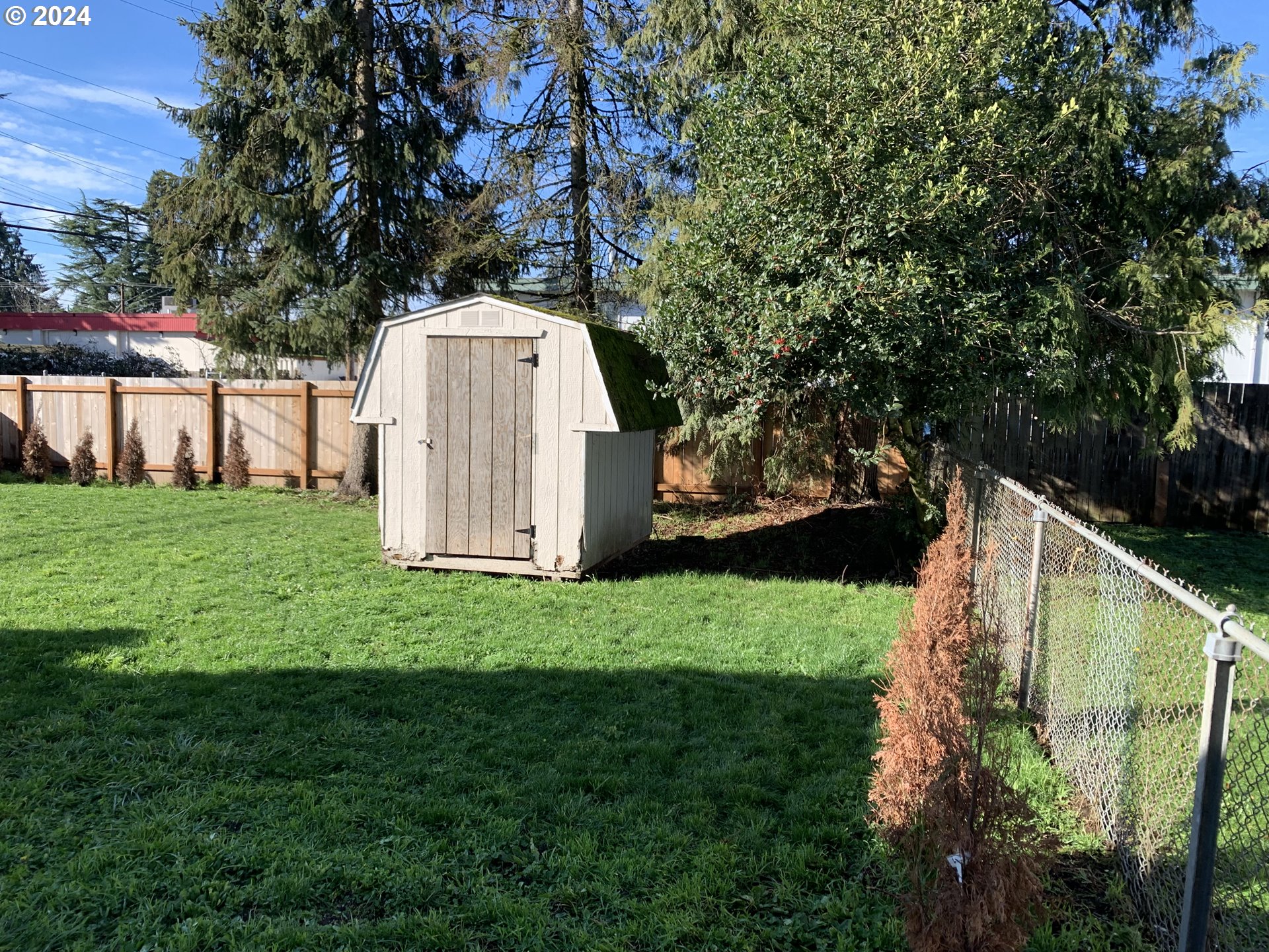 630 1st Street Springfield, OR 97477 - Photo 16 of 18 a view of a garden with large trees