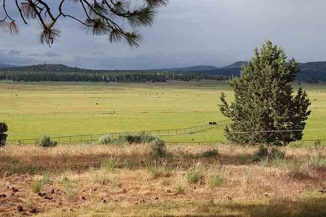 22779 Sprague River Road Chiloquin, OR 97624 - Photo 19 of 23 Additional Photo