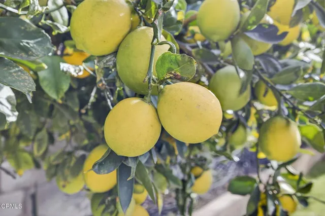 $773,500 | 1636 Earl Avenue, Simi Valley, CA 93065