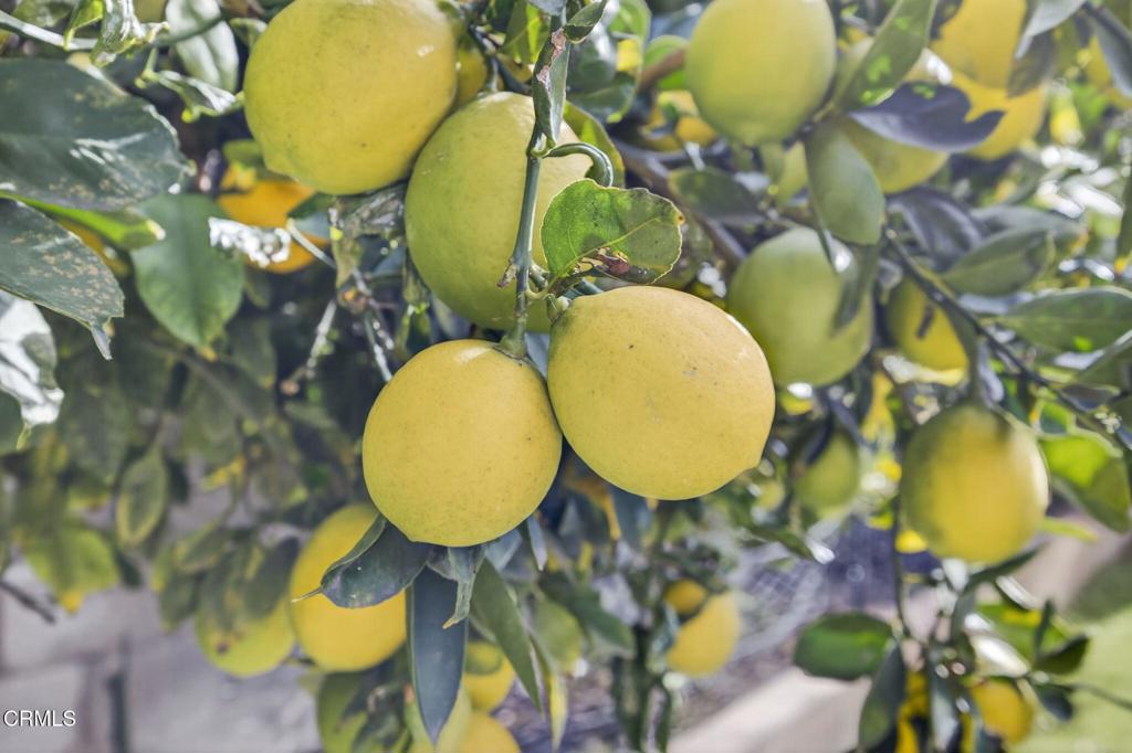 1636 Earl Avenue Simi Valley, CA 93065 - Photo 32 of 36