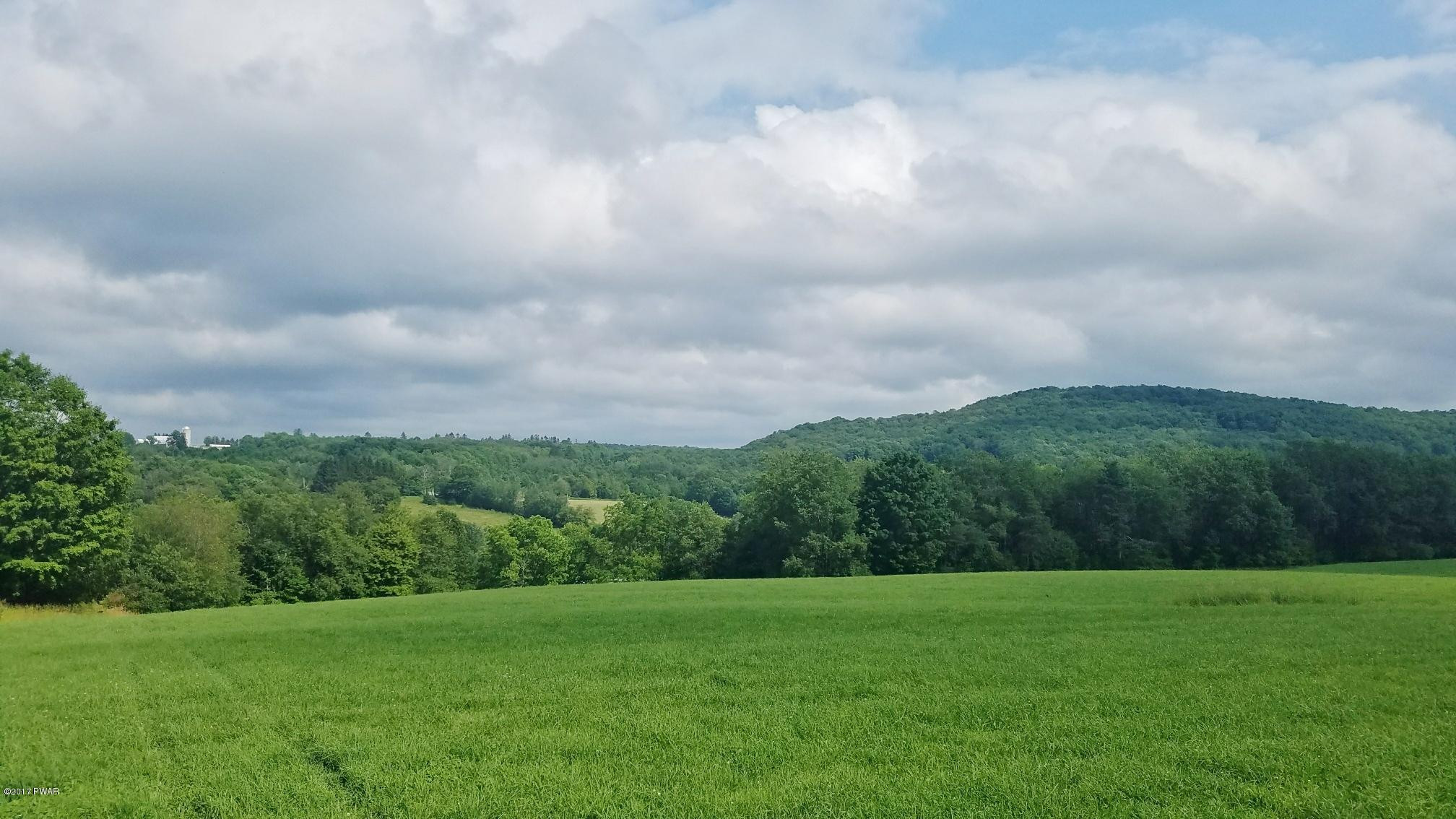 2911 Wrighter Lake Road Thompson, PA 18465 - Photo 6 of 7