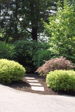 451 Dover Road Westwood, MA 02090 - Photo 24 of 27 Gallery Image 24