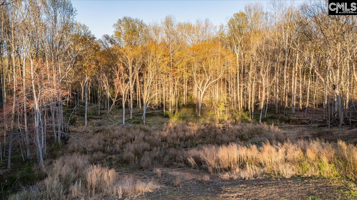 420 Lightwood Farm Road Woodruff, SC 29388 - Photo 9 of 12