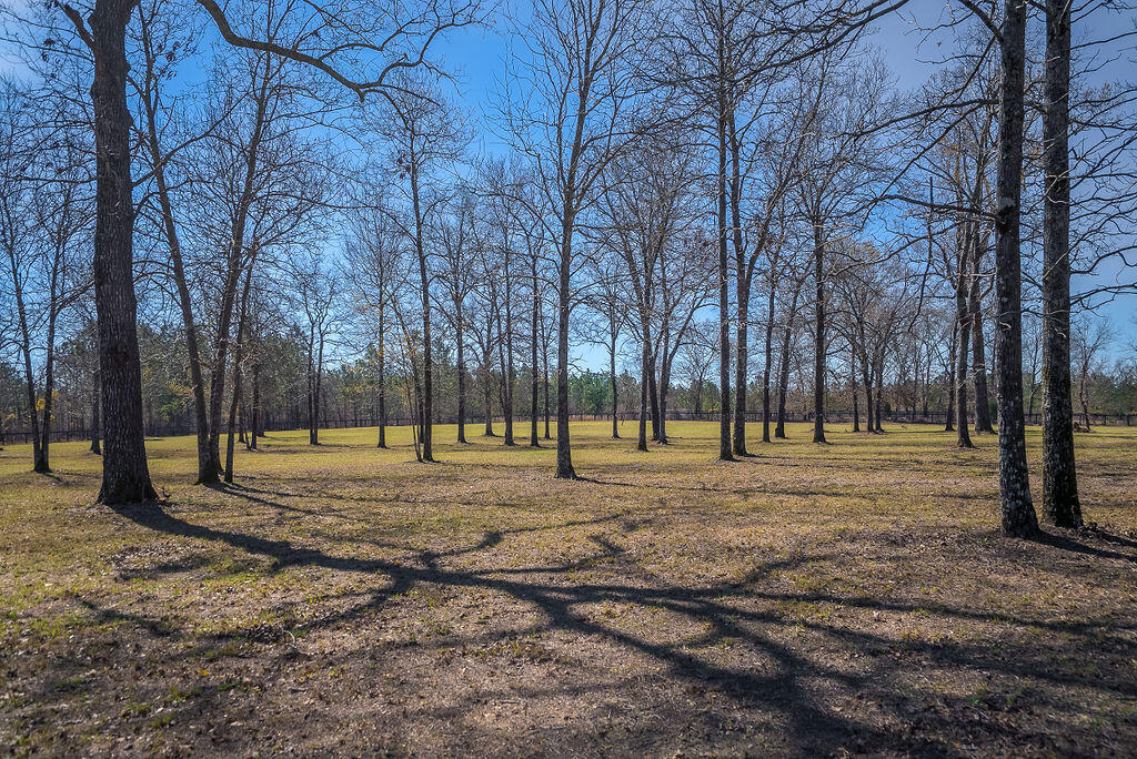 411 Bluffwood Road Wagener, SC 29164 - Photo 17 of 23