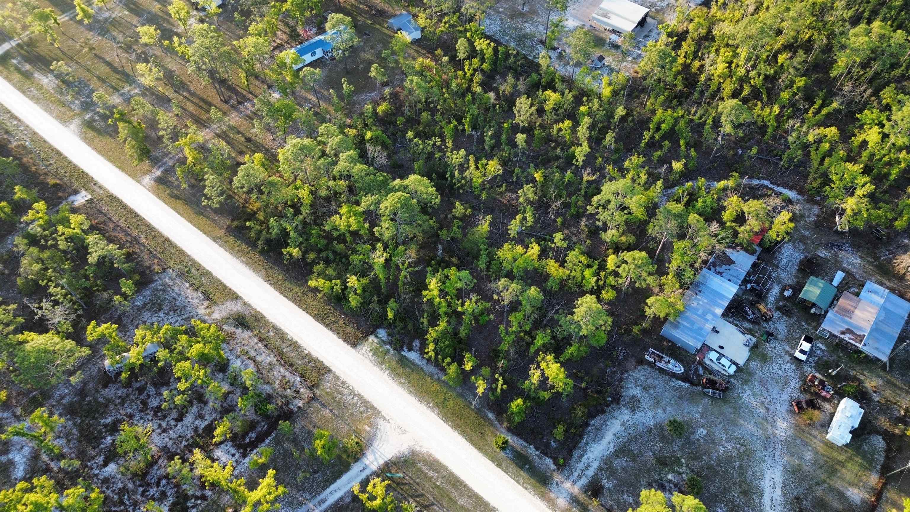 Lot 204 Post Oak Road Perry, FL 32348 - Photo 18 of 30