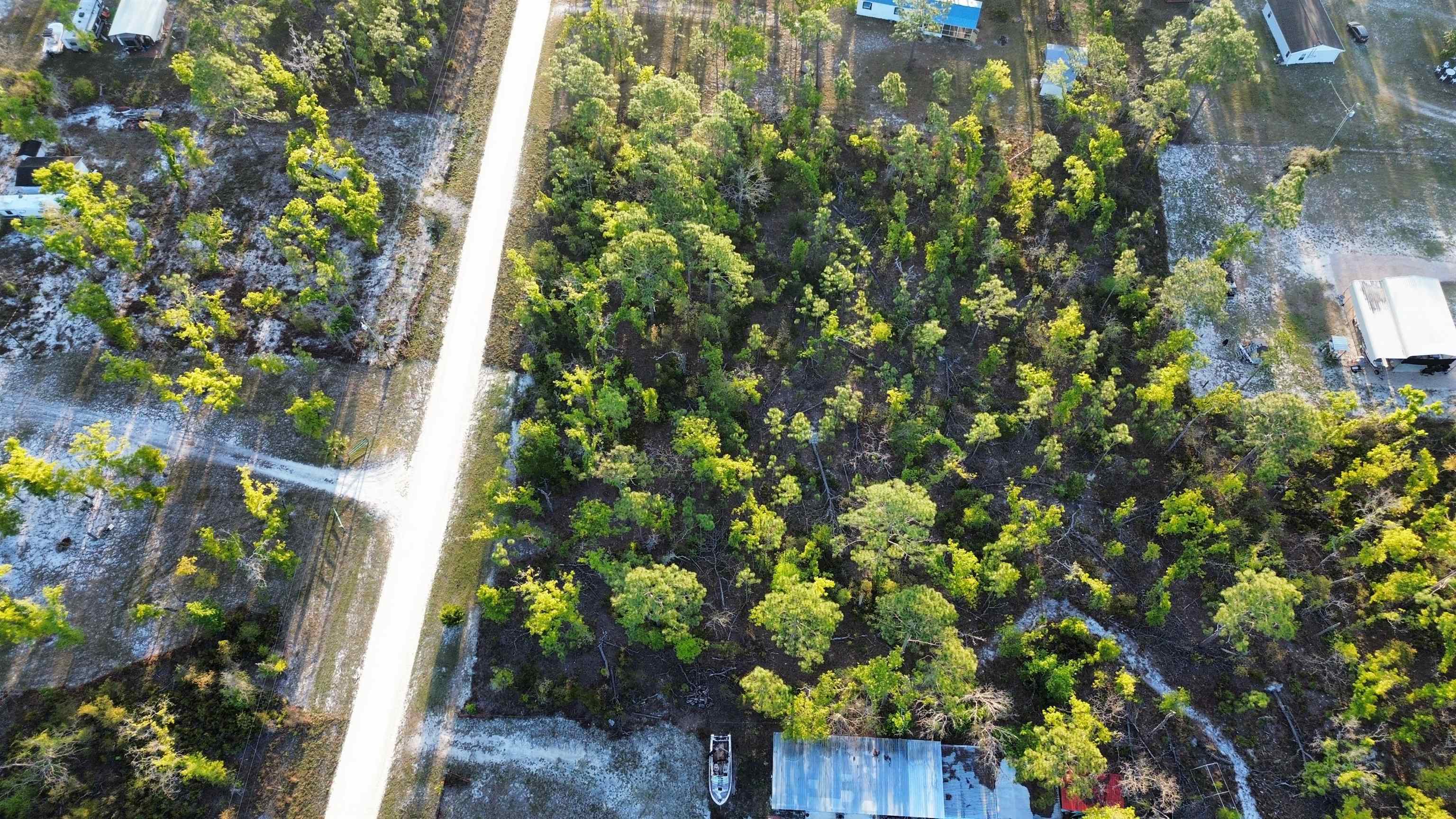 Lot 204 Post Oak Road Perry, FL 32348 - Photo 19 of 30