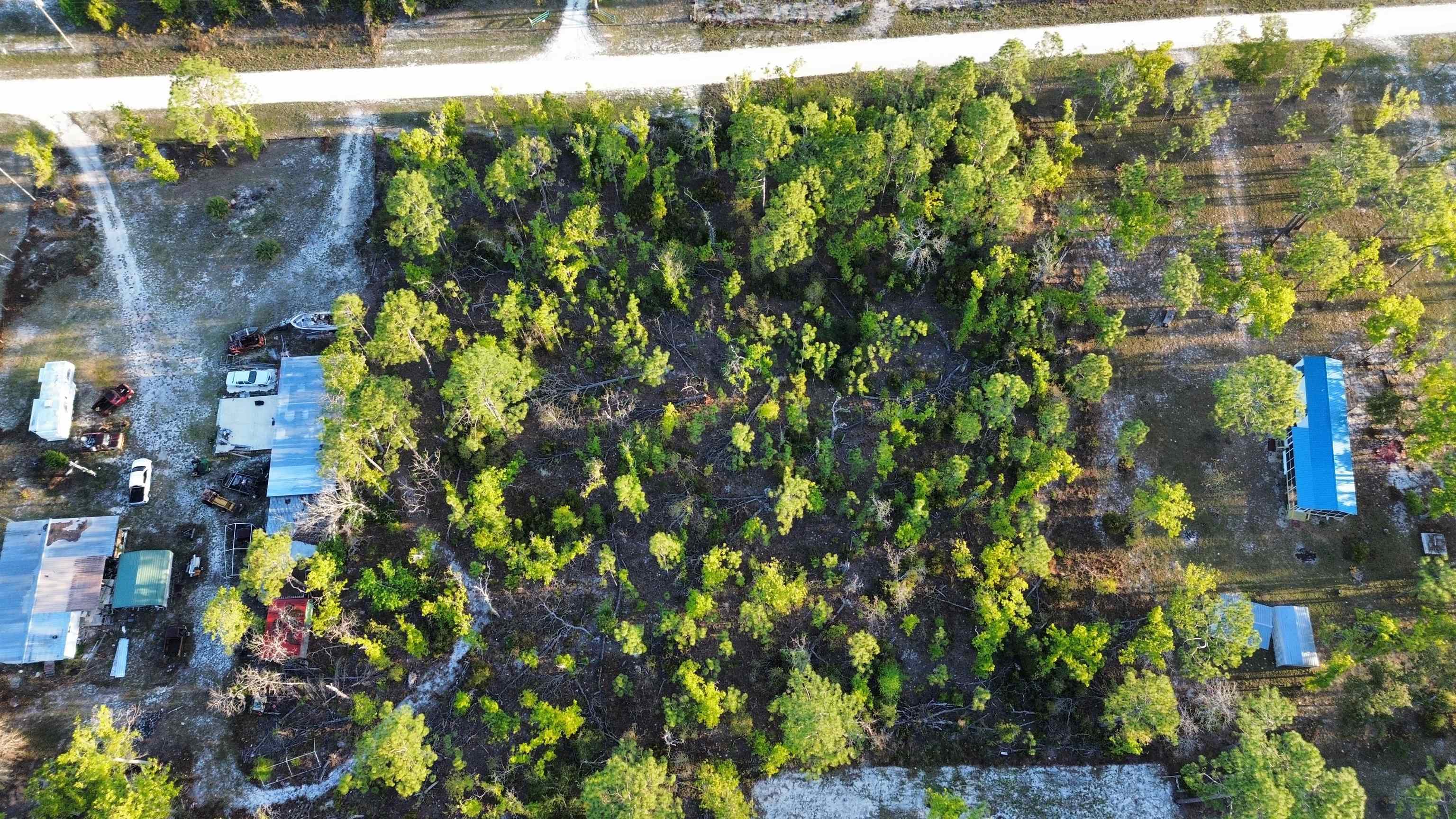 Lot 204 Post Oak Road Perry, FL 32348 - Photo 21 of 30