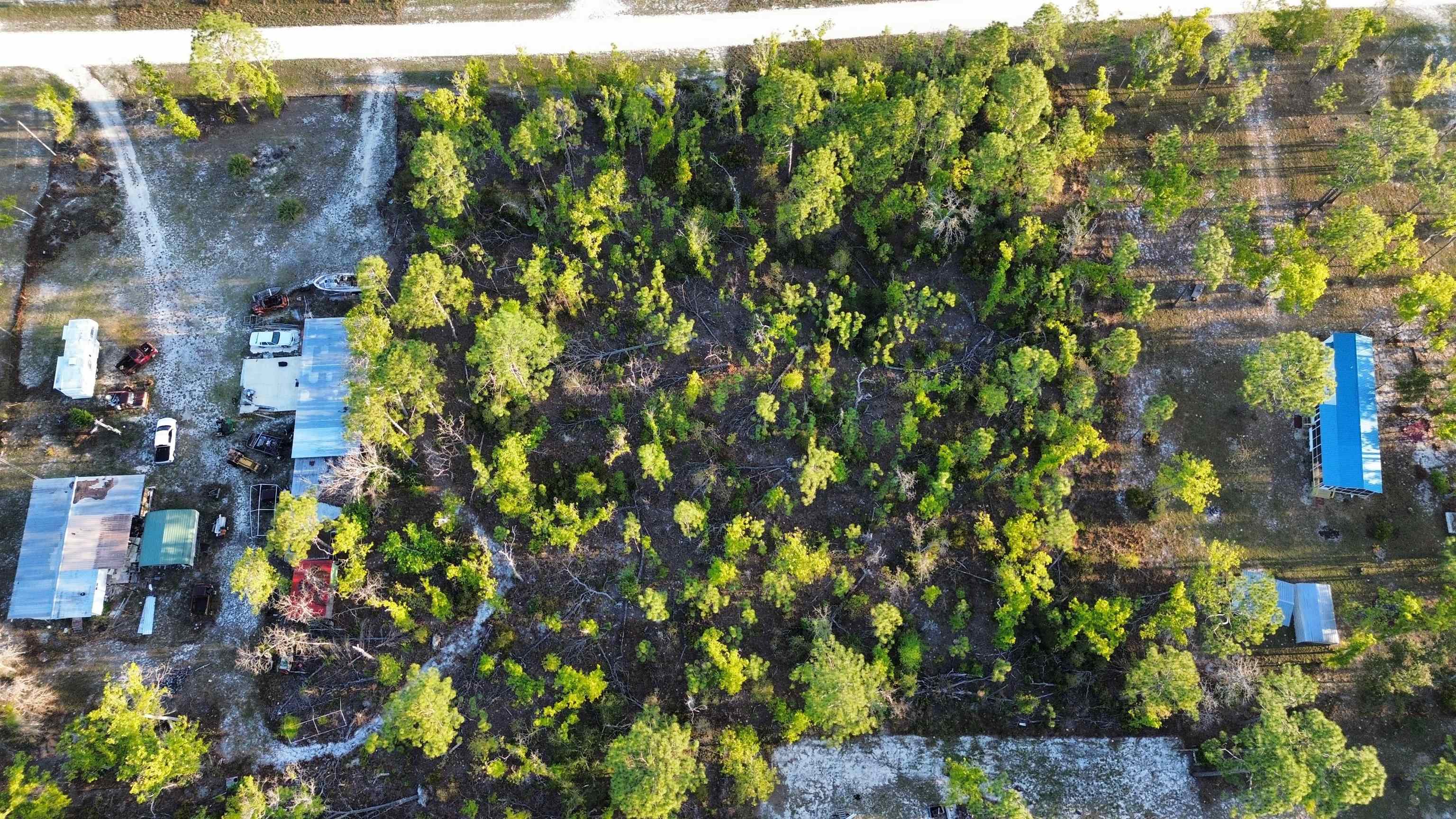 Lot 204 Post Oak Road Perry, FL 32348 - Photo 22 of 30