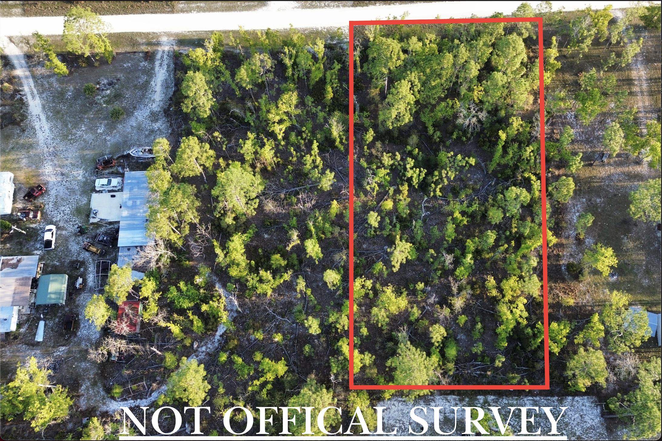 Lot 204 Post Oak Road Perry, FL 32348 - Photo 9 of 30