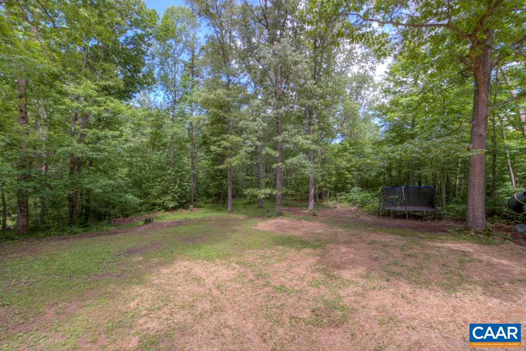 1877 Swift Run Road Ruckersville, VA 22968 - Photo 36 of 40 a view of a forest with trees in the background