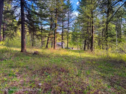 $98,000 | Lot 83 Oak Drive, Star Valley Ranch, WY 83127