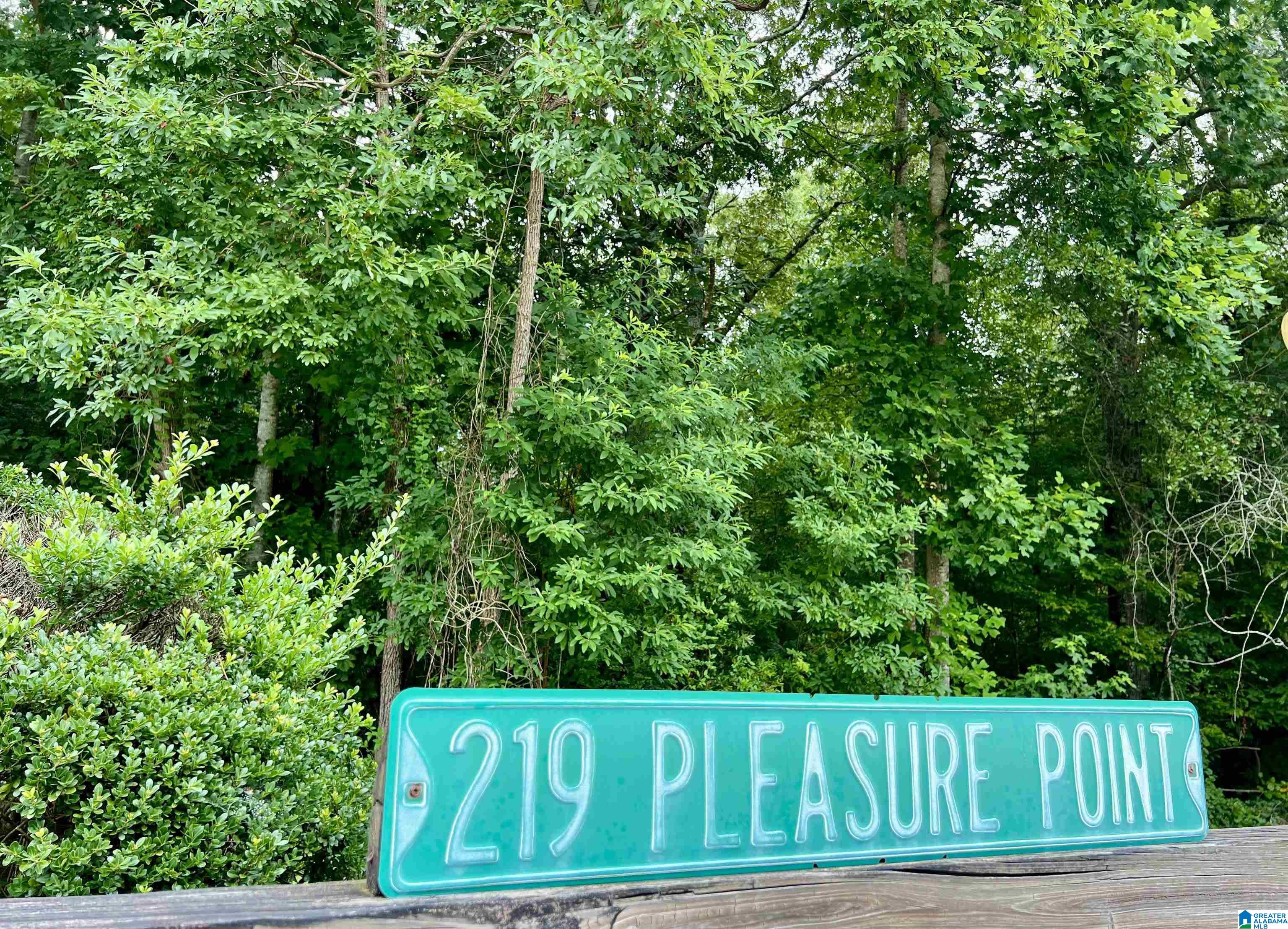 219 Pleasure Point, Unit B4 Wedowee, AL 36278 - Photo 71 of 71