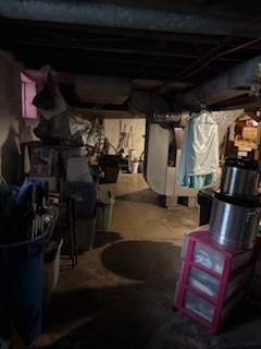 438 Spring Street Aurora, IL 60505 - Photo 26 of 29 Gallery Image 26