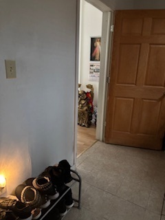 438 Spring Street Aurora, IL 60505 - Photo 8 of 29 Gallery Image 8