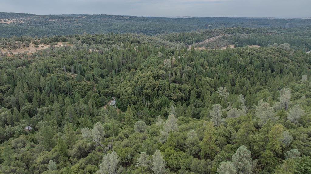 18101 Old River Road Fiddletown, CA 95629 - Photo 33 of 53 Gallery Image 33