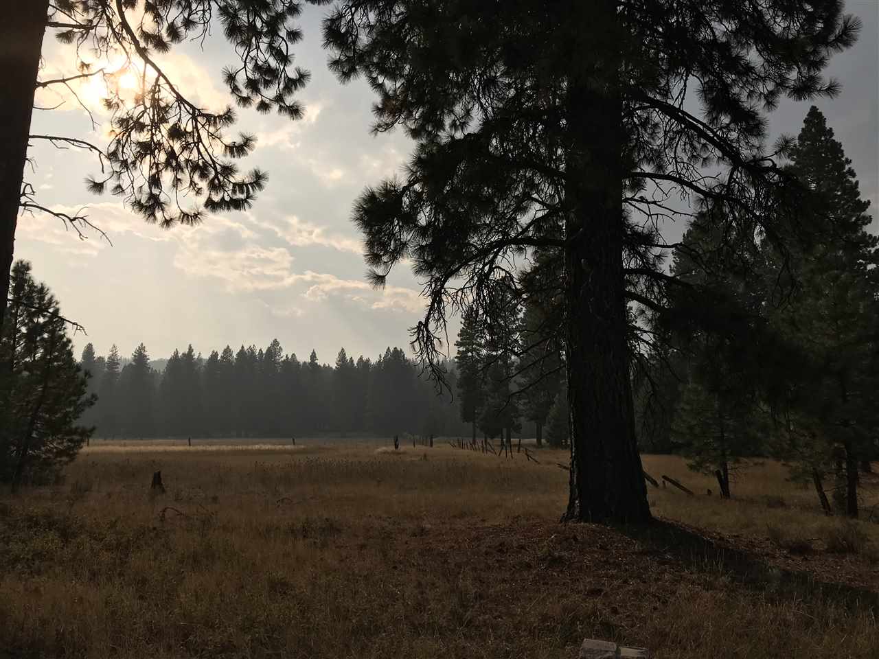 Lot 38 Sugarpine Road Weed, CA 96094 - Photo 4 of 8 Gallery Image 4