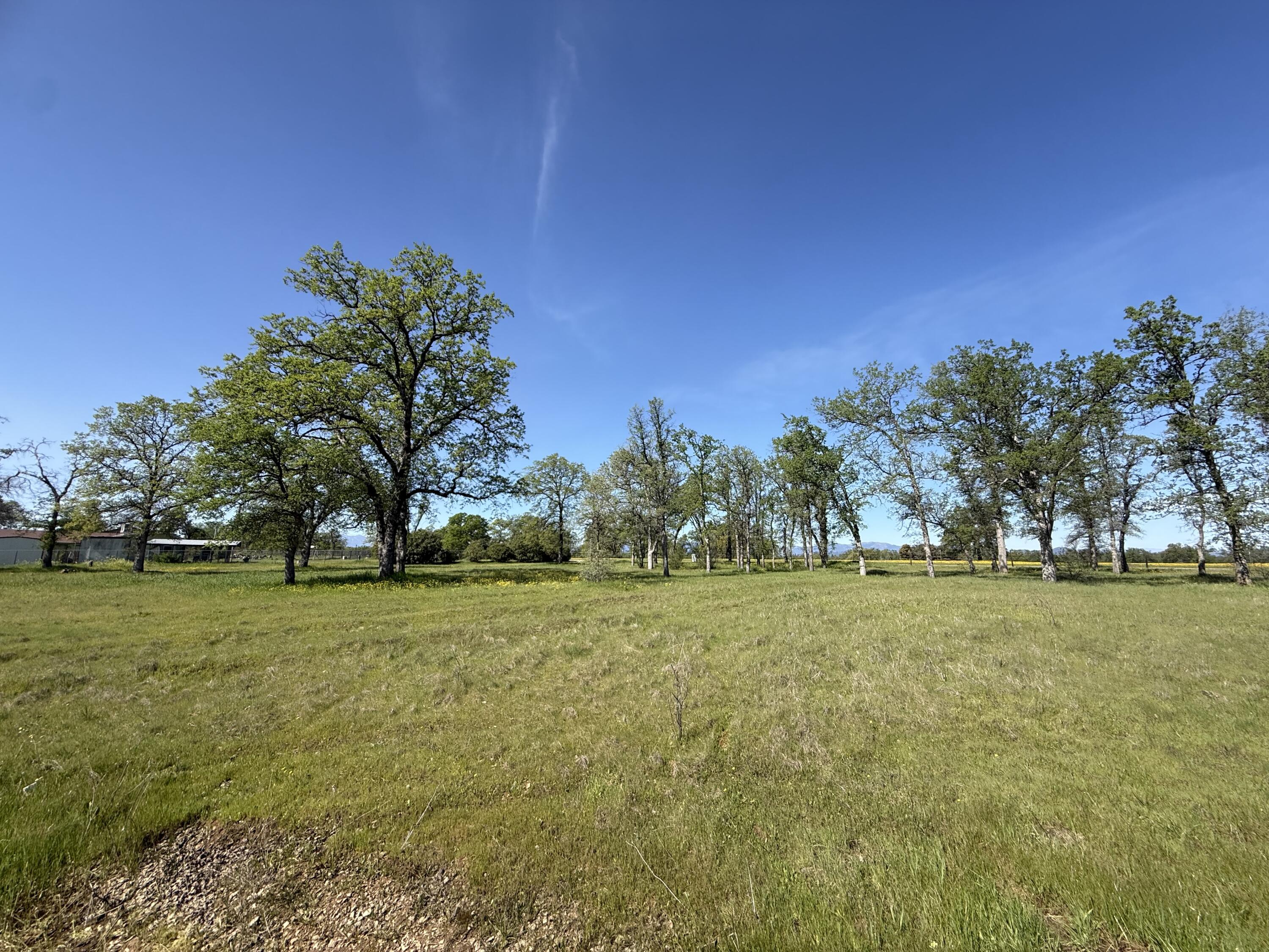 21752 Hidden Acres Road Bella Vista, CA 96003 - Photo 6 of 12 IMG_0307