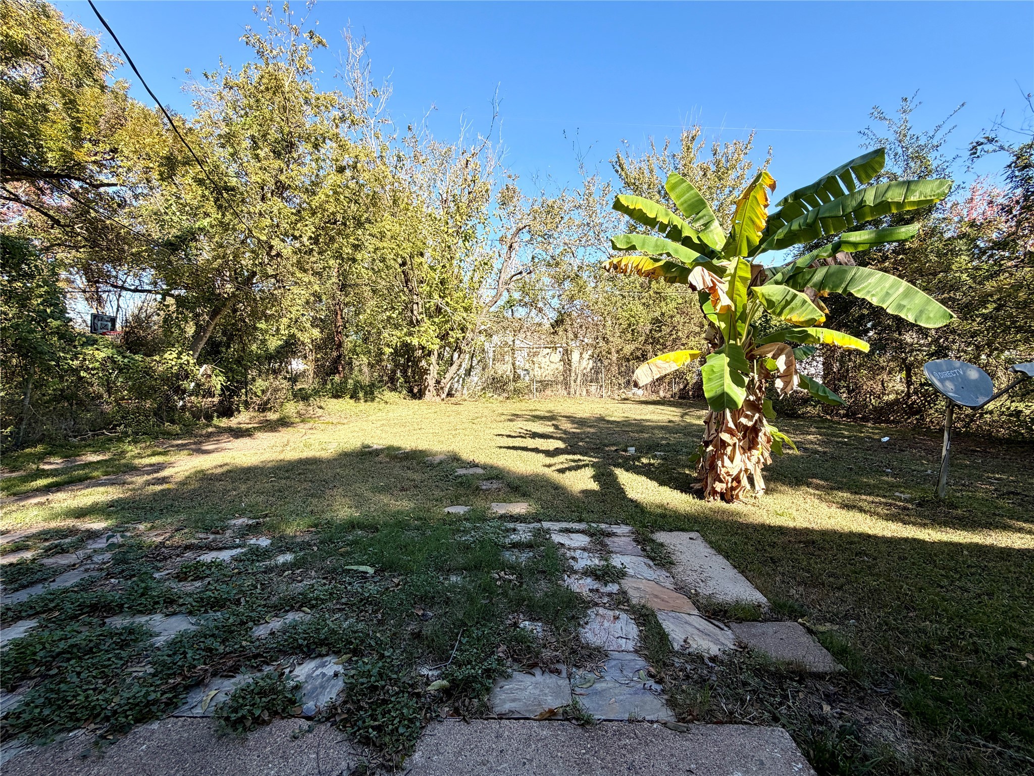 4727 Eppes Street Houston, TX 77021 - Photo 15 of 16 a view of a yard with a tree