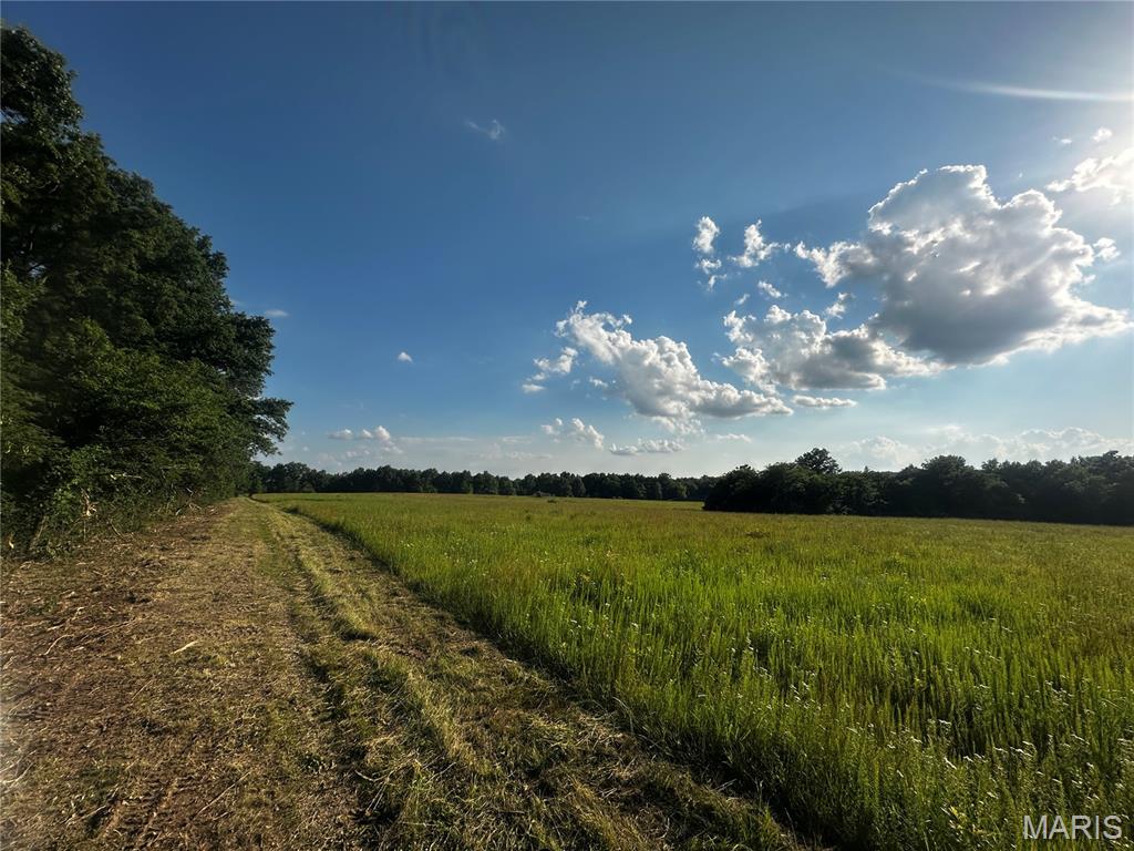 2 C Audrain Road 935 Mexico, MO 65265 - Photo 1 of 18