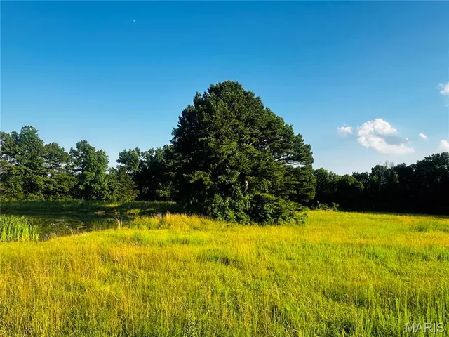 $193,750 | 2 C Audrain Road 935, Mexico, MO 65265