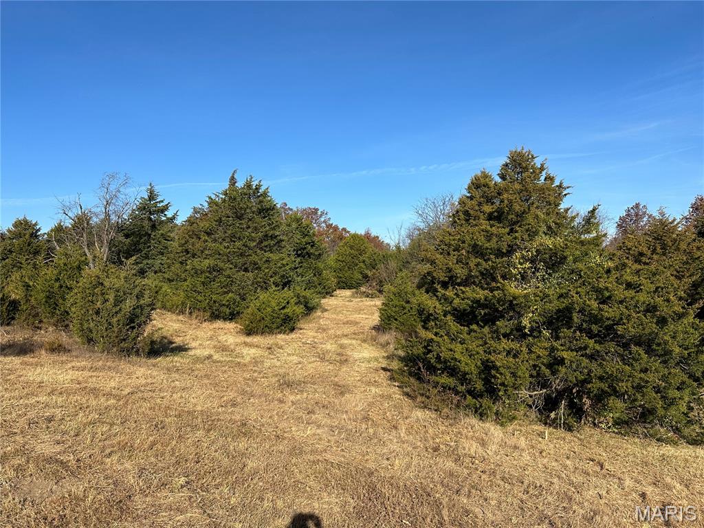 2 C Audrain Road 935 Mexico, MO 65265 - Photo 17 of 18