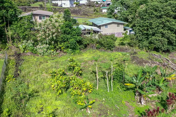 a view of a house with a yard and plants