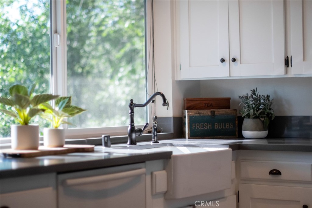 940 Highway 173 Lake Arrowhead, CA 92352 - Photo 11 of 45 a kitchen with a potted plant on the counter and cabinets