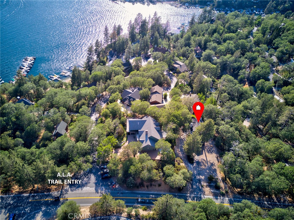 940 Highway 173 Lake Arrowhead, CA 92352 - Photo 2 of 45 a view of a flower in a garden