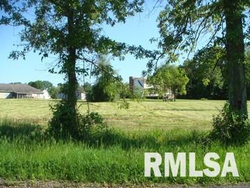 Tbd Hafer Road Herrin, IL 62948 - Photo 1 of 1 Gallery Image 1