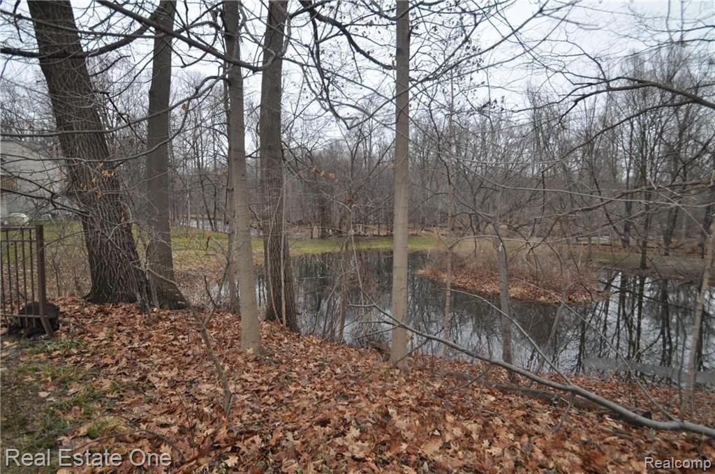 1638 River View Drive, Unit 41 Rochester Hills, MI 48307 - Photo 4 of 31