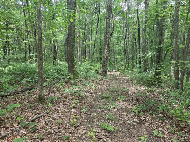 $40,000 | 0 Blumont Drive, Altamont, TN 37301