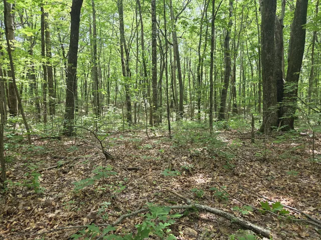 $40,000 | 0 Blumont Drive, Altamont, TN 37301