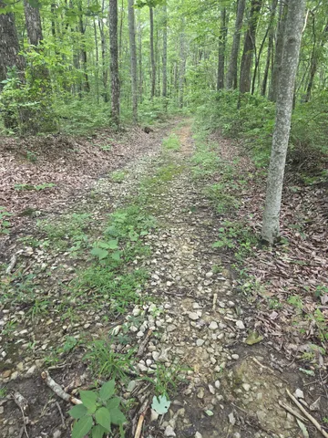 $40,000 | 0 Blumont Drive, Altamont, TN 37301