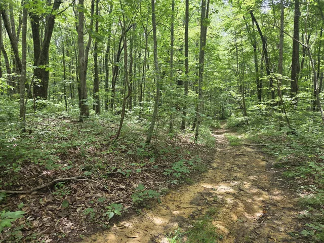 $40,000 | 0 Blumont Drive, Altamont, TN 37301