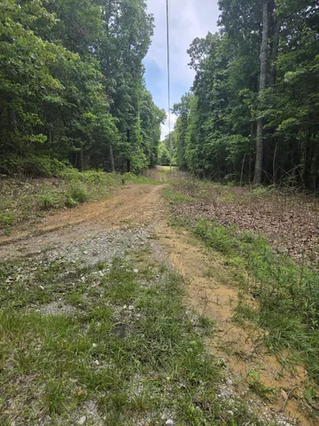 $40,000 | 0 Blumont Drive, Altamont, TN 37301