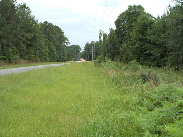 0 Old Screven Road Jesup, GA 31545 - Photo 1 of 1 Gallery Image 1