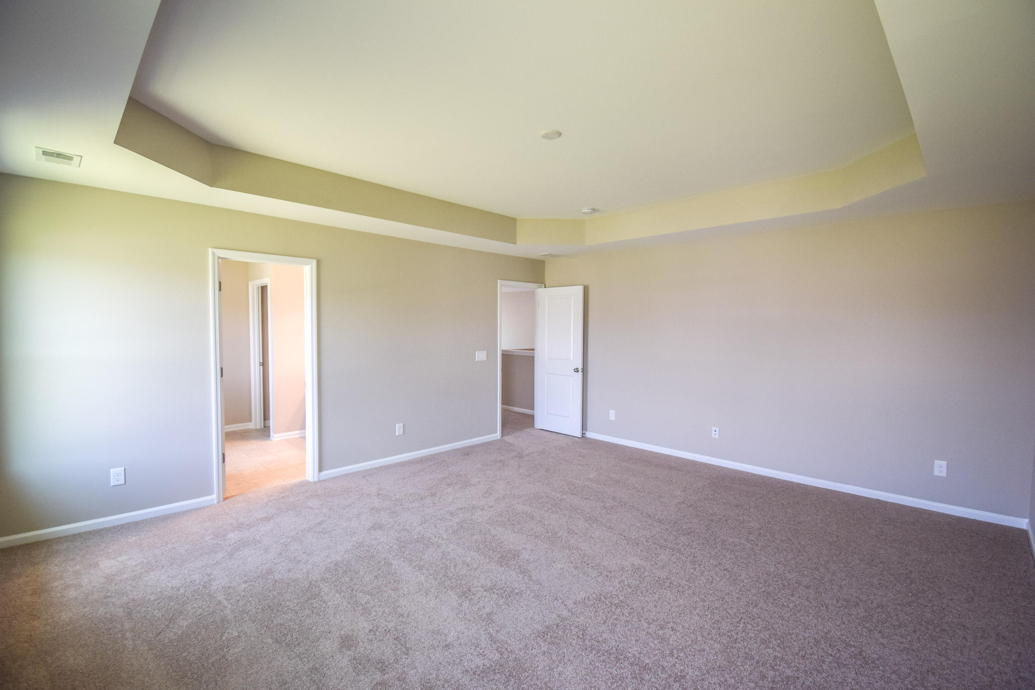 310 Silverleaf Lane Moncks Corner, SC 29461 - Photo 12 of 25 Generous Master Bedroom Suite