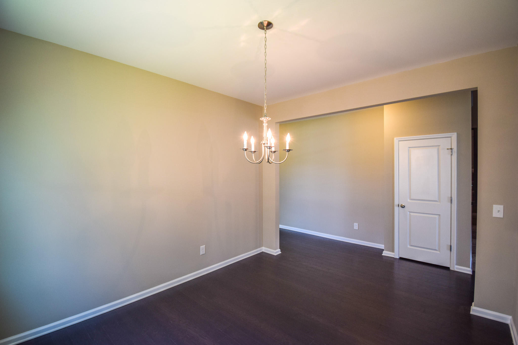 310 Silverleaf Lane Moncks Corner, SC 29461 - Photo 4 of 25 Elegant Formal Dining Room