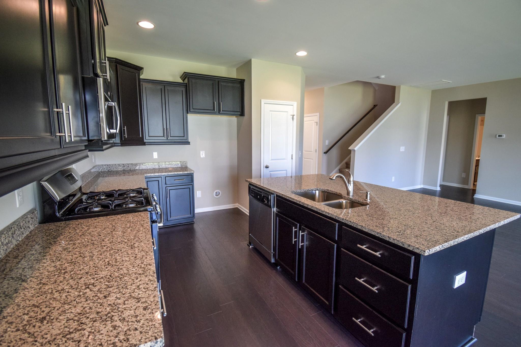 310 Silverleaf Lane Moncks Corner, SC 29461 - Photo 6 of 25 Granite Countertops