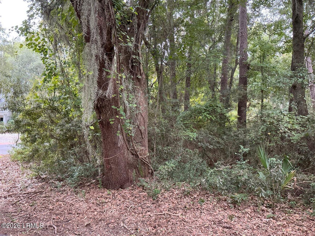 80 North Boone Road St. Helena Island, SC 29920 - Photo 3 of 22 IMG_0315
