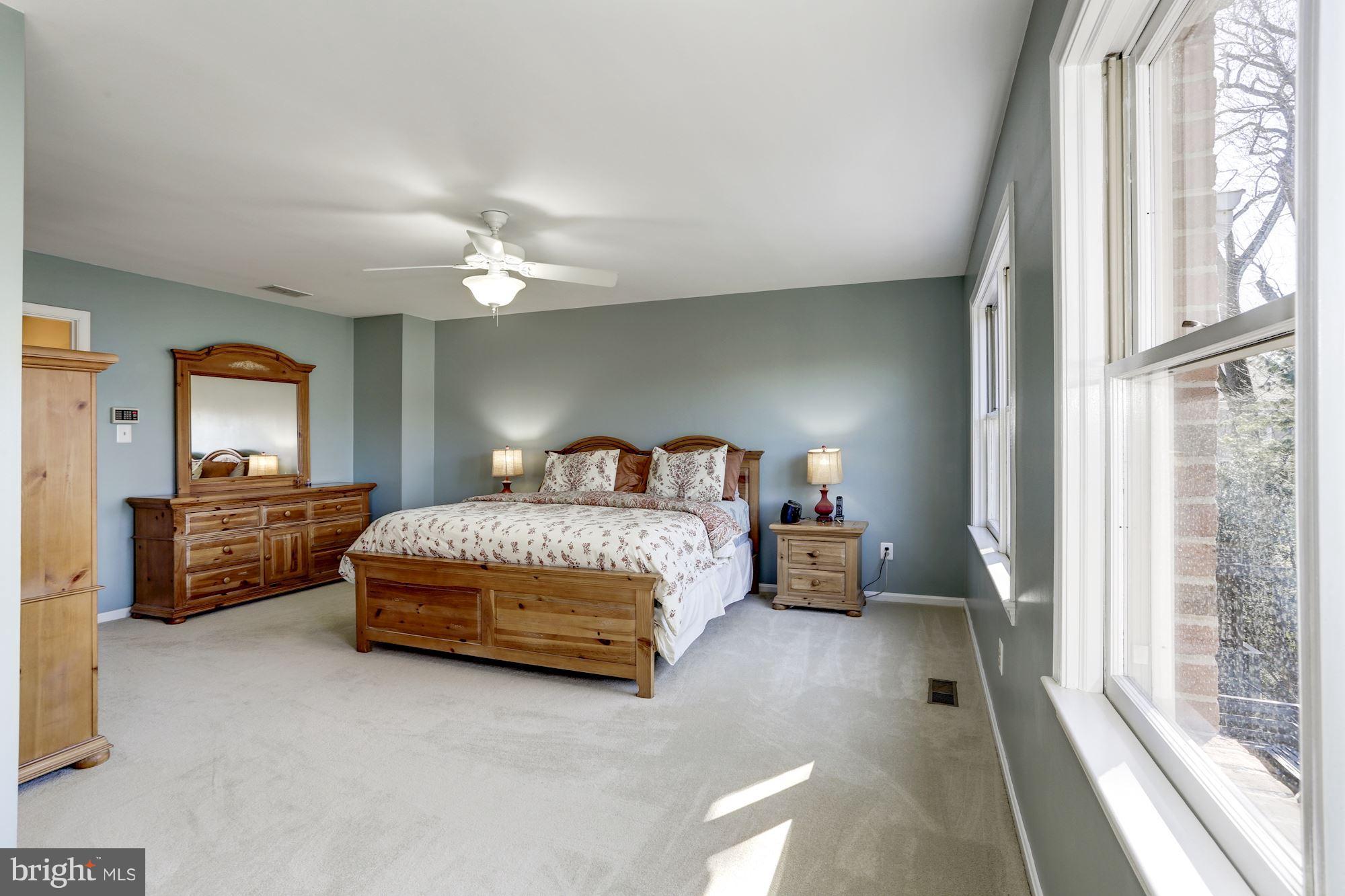 3908 North Glebe Road Arlington, VA 22207 - Photo 16 of 30 MASTER BEDROOM