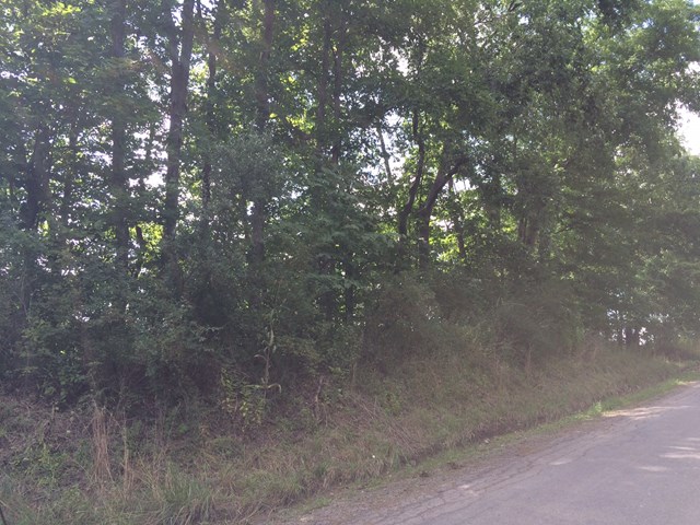0 Callensburg Road Parker, PA 16049 - Photo 3 of 3 a picture of a tree