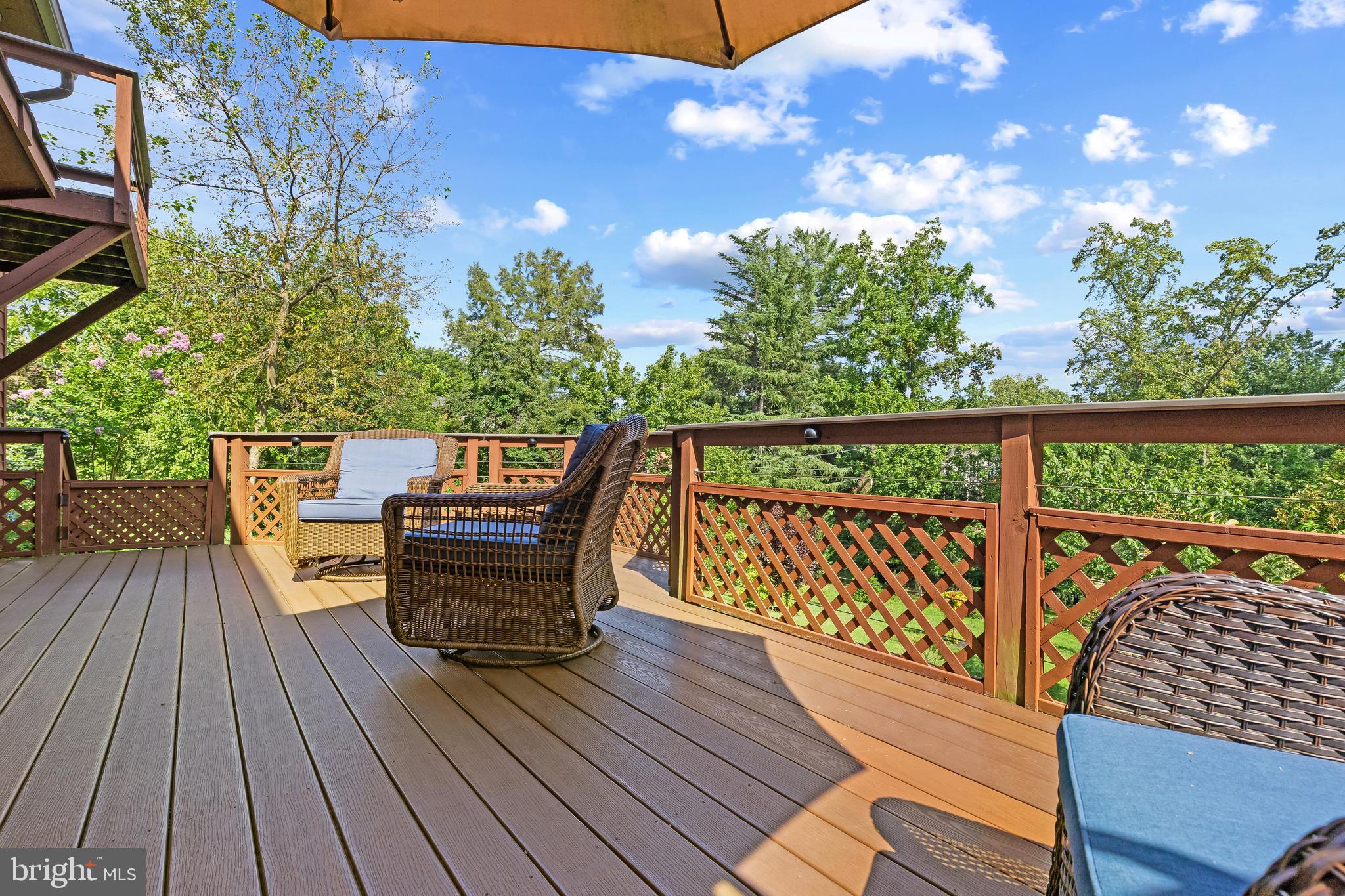 210 Providence Road Annapolis, MD 21409 - Photo 7 of 33 Mature Trees & Greenery