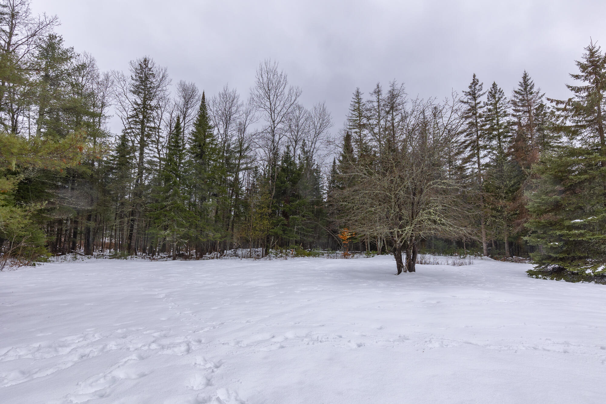 56 Tremblay Road Dexter, ME 04930 - Photo 6 of 27 5-56TremblayRdMLS