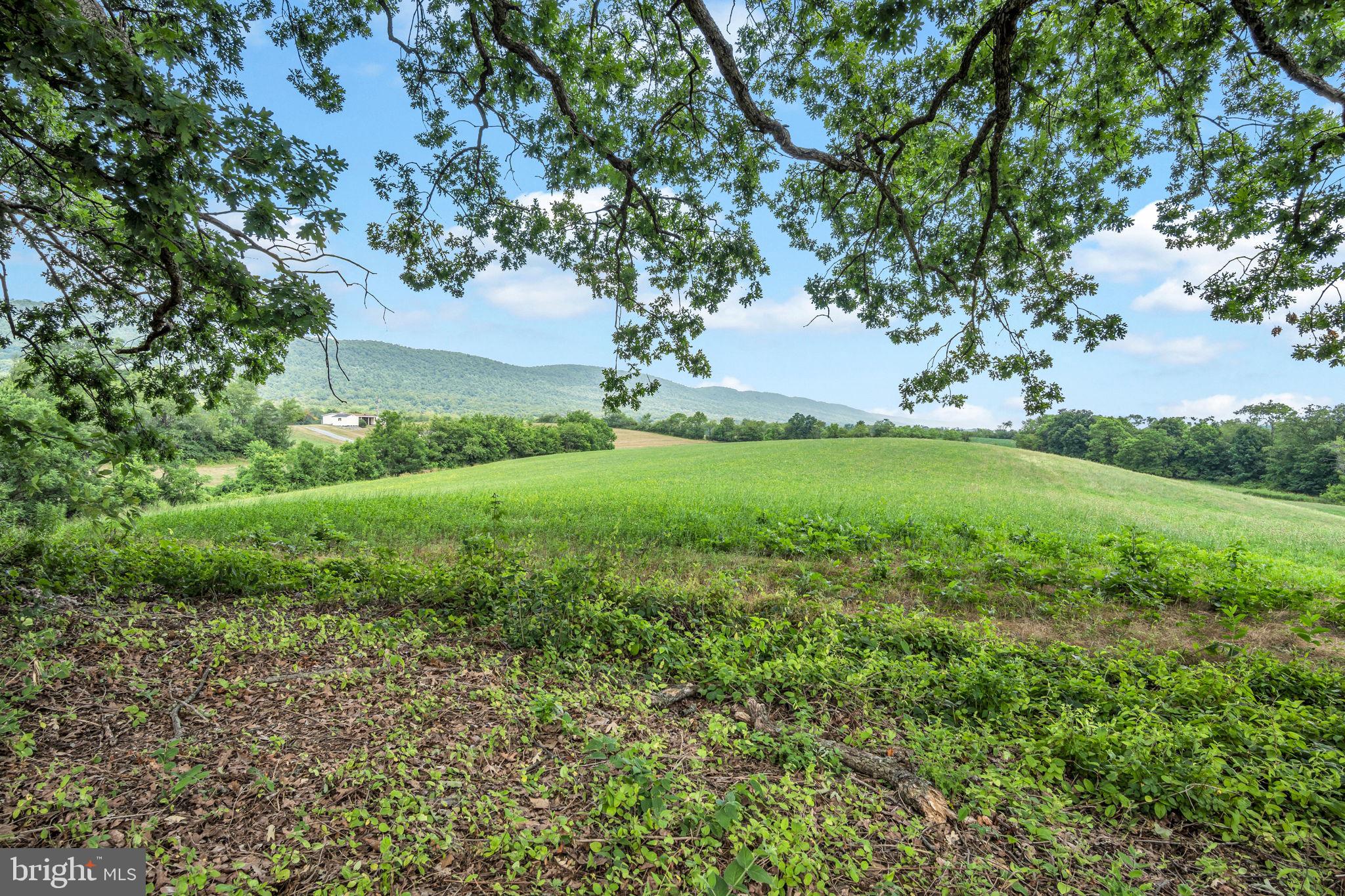 1911 Longs Gap Road Carlisle, PA 17013 - Photo 14 of 42