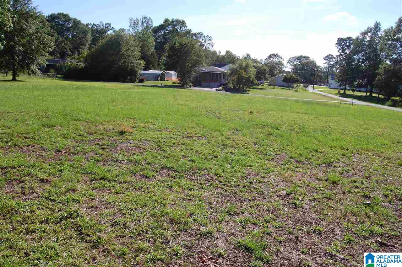 101 6th Street South Sumiton, AL 35148 - Photo 9 of 21