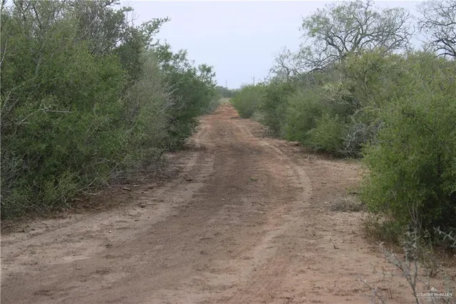 $510,930 | 8993 North Julian Street, San Diego, TX 78384