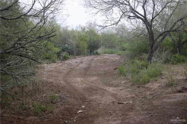 $510,930 | 8993 North Julian Street, San Diego, TX 78384